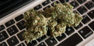 Reasons Why Buying Weed Online Is the Best Thing to Do